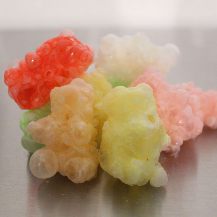 Freeze Dried Gummy Bears (6827069079637)